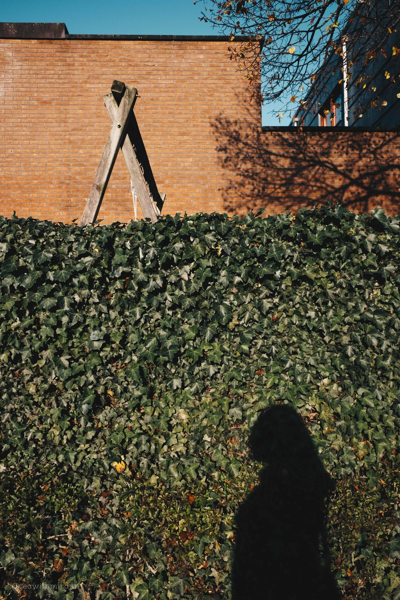 Travel: Utrecht Overvecht, frame 8