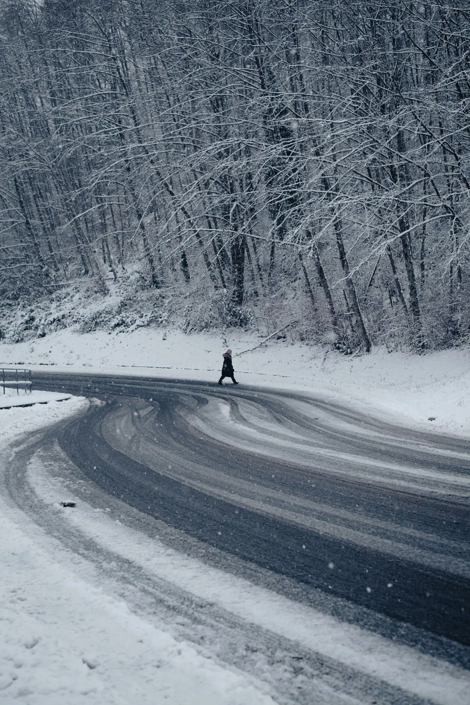 Vancouver: Winter, frame 10