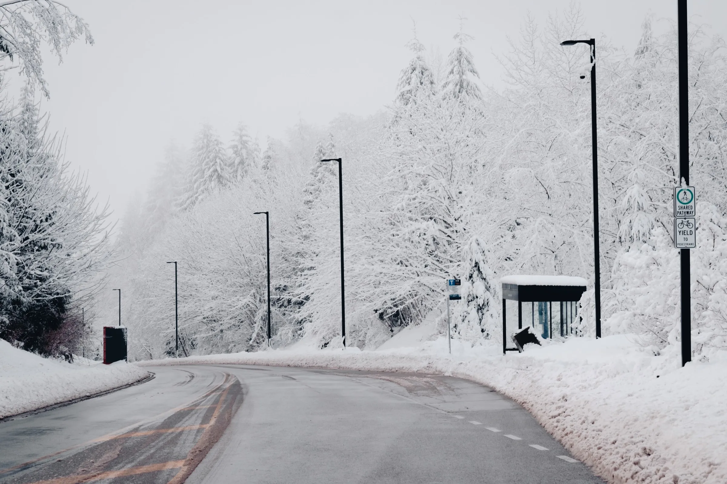 Road with bus stop and trees, covered in snow, at Burnaby Mountain, British Columbia