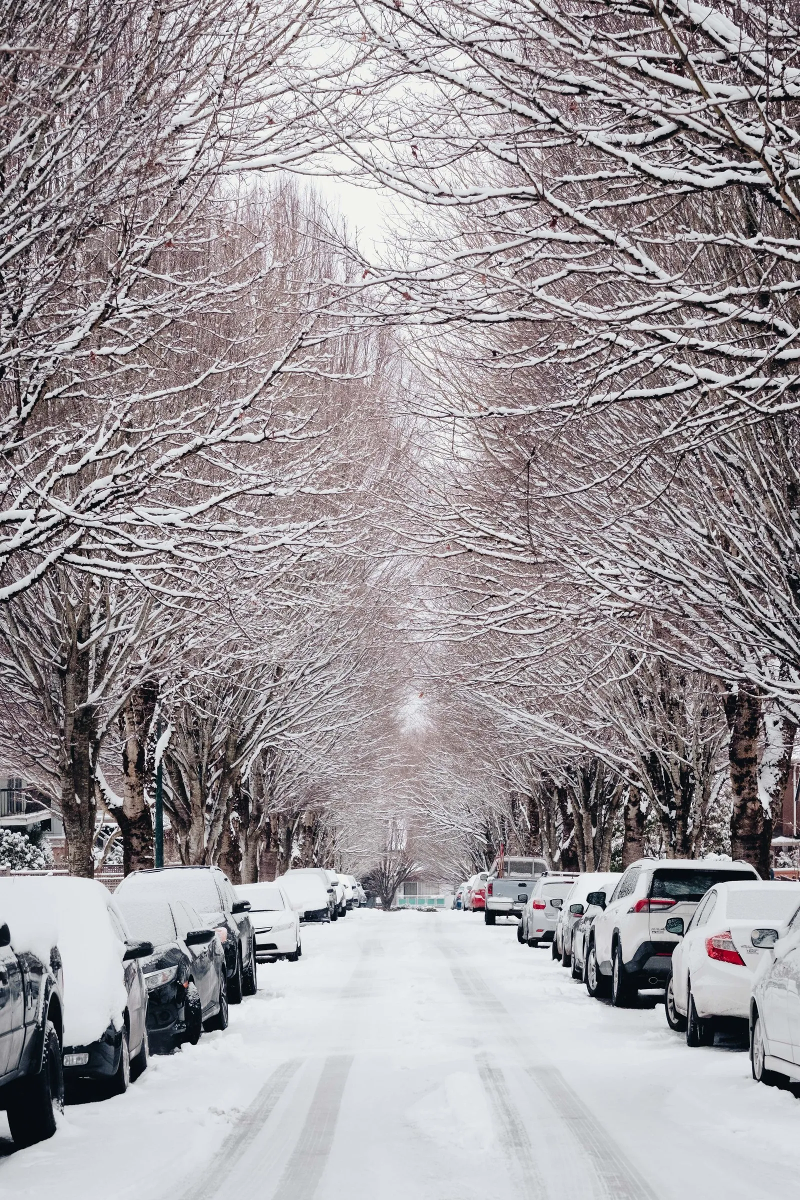 Vancouver: Winter, frame 14